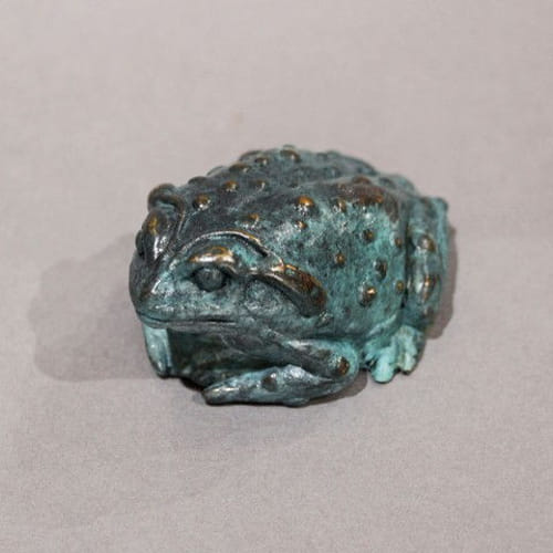 FL094 Colorado River Toad $350 at Hunter Wolff Gallery